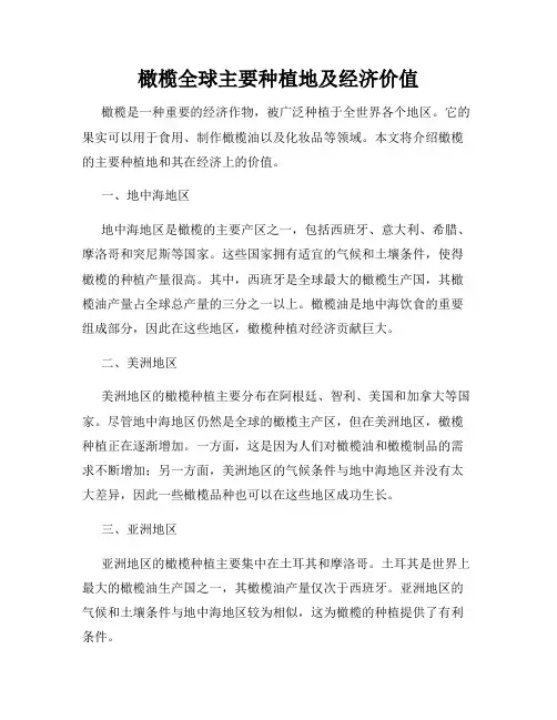 橄榄全球主要种植地及经济价值