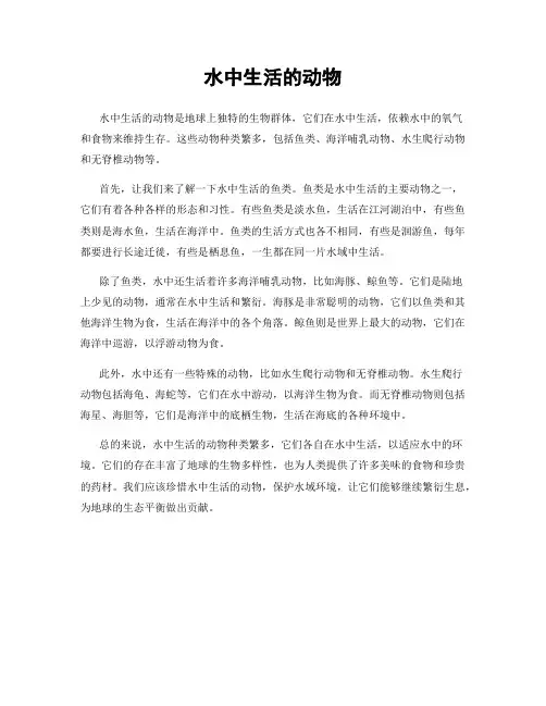 水中生活的动物