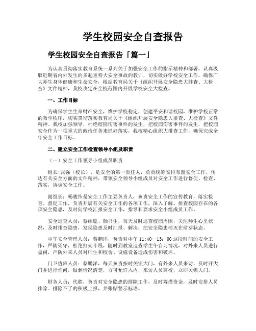 学生校园安全自查报告
