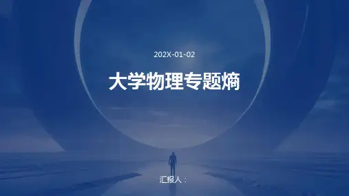 大学物理专题熵