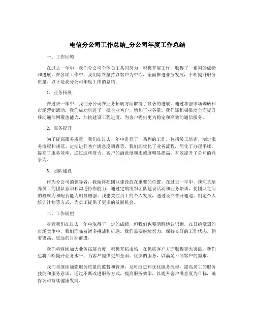 电信分公司工作总结_分公司年度工作总结