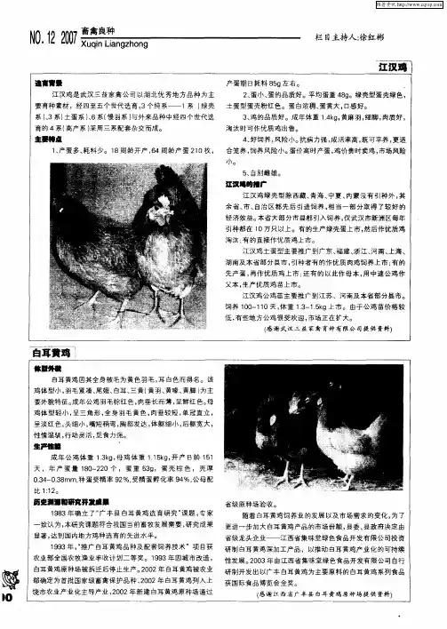 江汉鸡