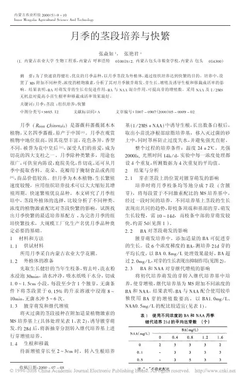 月季的茎段培养与快繁