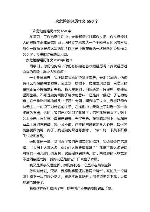 一次危险的经历作文650字