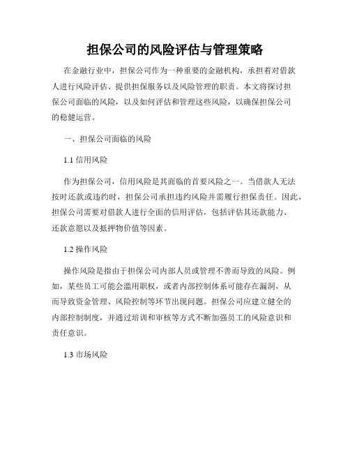 担保公司的风险评估与管理策略