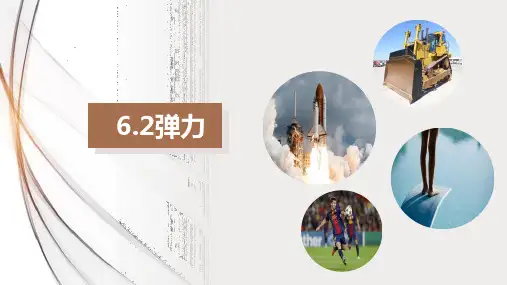 6.2弹力(课件)