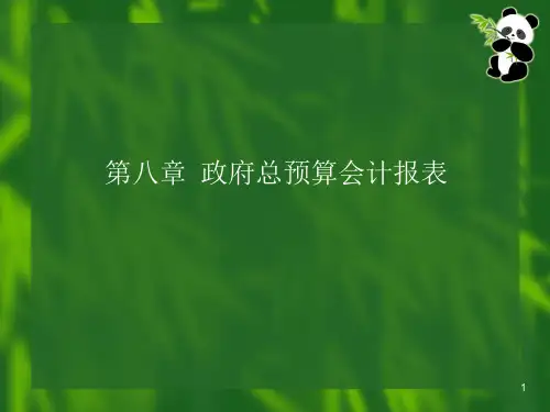201093-第08章政府总预算会计报表
