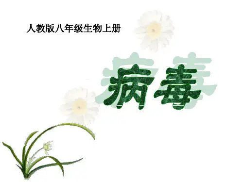 《病毒》7-人教版八年级生物上册PPT课件