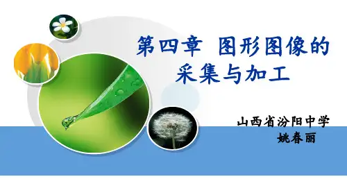 2017第四章 图形图像的采集与加工