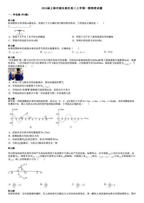 2024届上海市浦东新区高三上学期一模物理试题