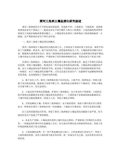黄河三角洲土壤盐渍化研究综述