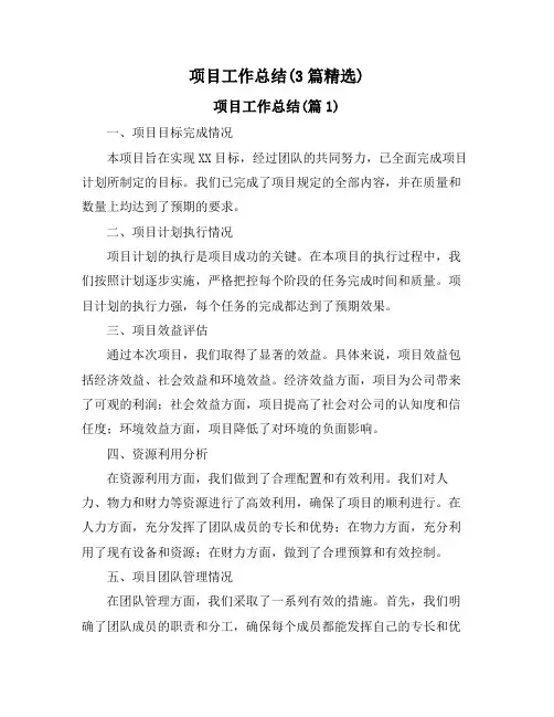 项目工作总结(3篇精选)