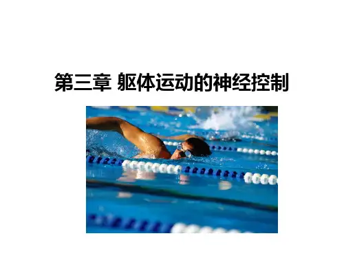 第三章_躯体运动的神经控制
