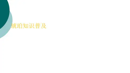 琥珀知识普及