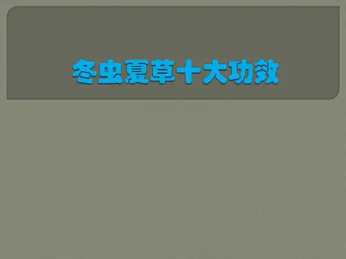 冬虫夏草十大功效