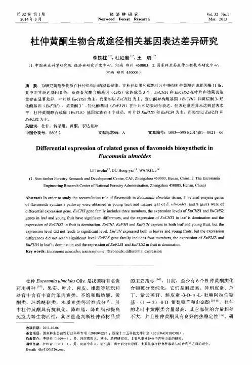 杜仲黄酮生物合成途径相关基因表达差异研究
