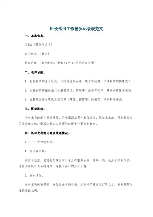 田长巡田工作情况记录表范文