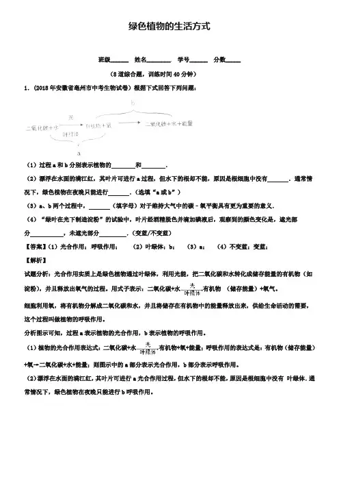 2019年中考生物(第01期)大题狂做系列 专题03 绿色植物的生活方式(含解析)