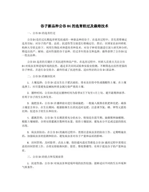 谷子新品种公谷84的选育经过及栽培技术