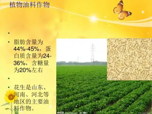 油脂加工设备知识(PPT 39页)