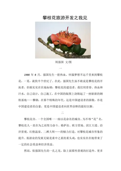 攀枝花旅游开发之我见