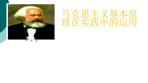 马克思主义基本原理在实践中的运用