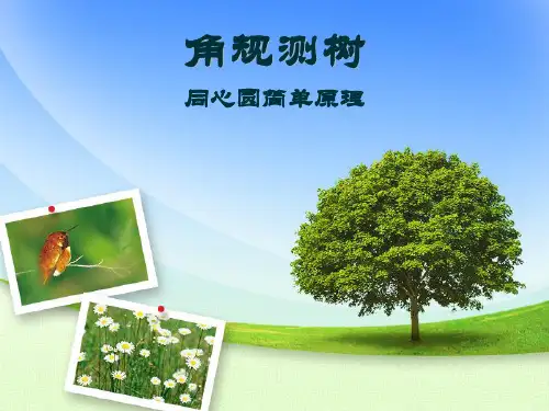 角规测树演讲说明