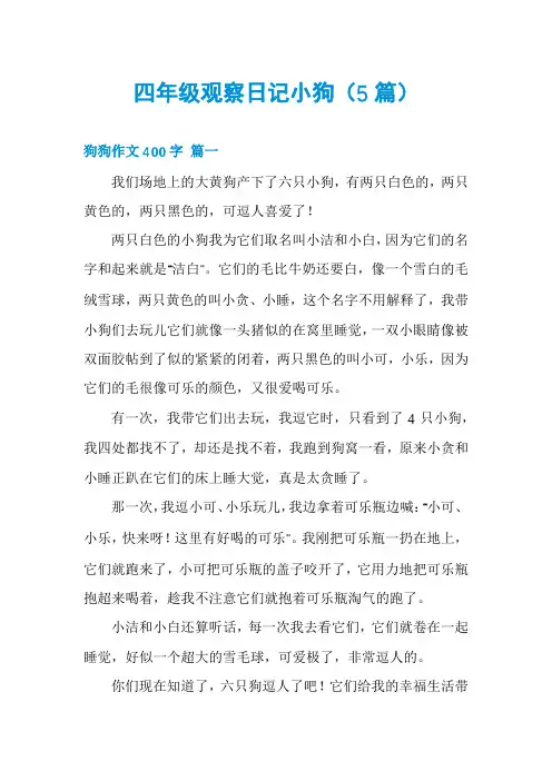 四年级观察日记小狗(5篇)