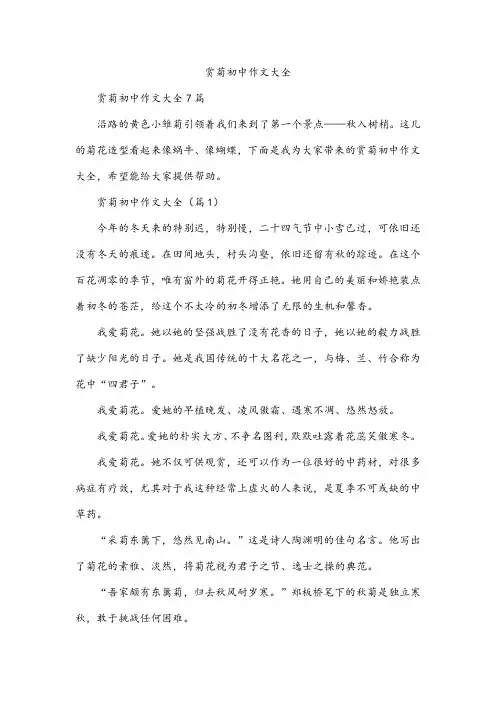 赏菊初中作文
