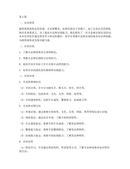 羊品种识别实训报告(3篇)