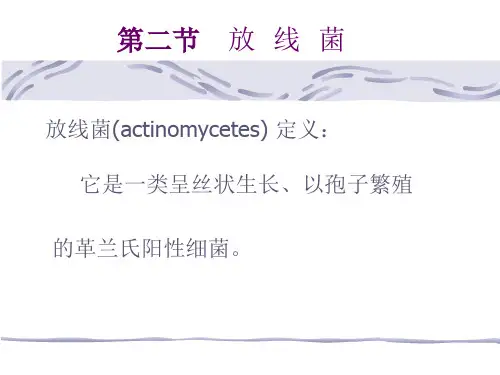 放  线  菌 (4)