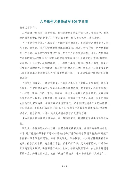 九年级作文景物描写800字5篇