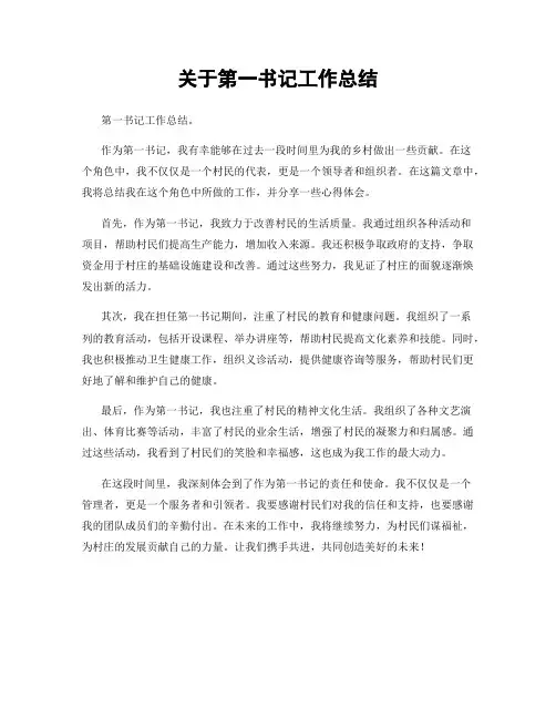 关于第一书记工作总结
