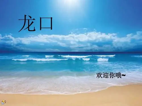 山东龙口