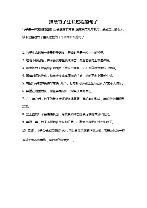描绘竹子生长过程的句子