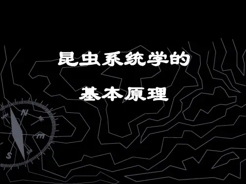 昆虫分类学命名法
