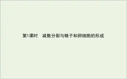 2.1.1减数分裂与精子和卵细胞的形成-2020-2021学年高一生物下学期人教版（2019）必修2