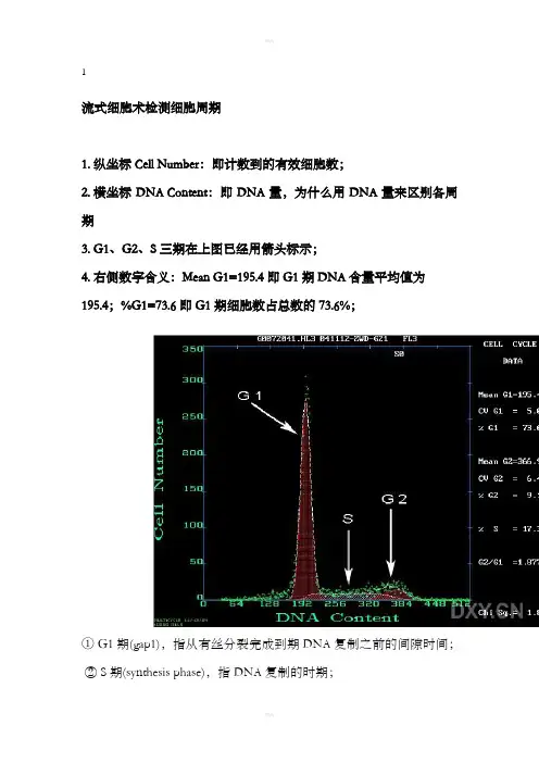 流式细胞仪细胞周期图详解