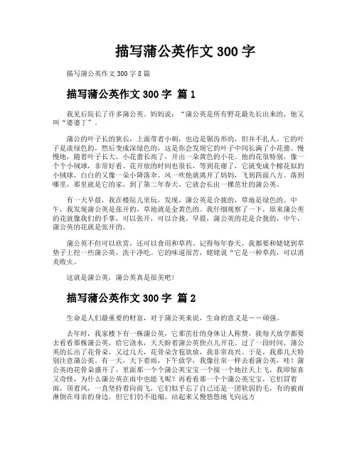描写蒲公英作文300字