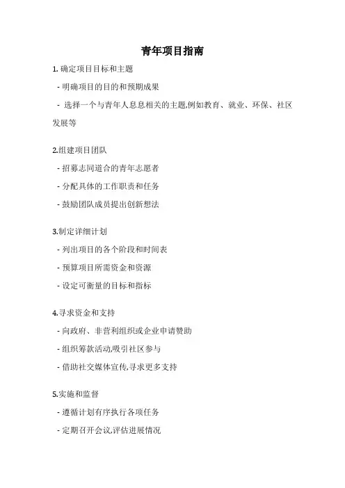 青年项目指南