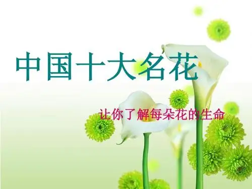 中国十大名花01