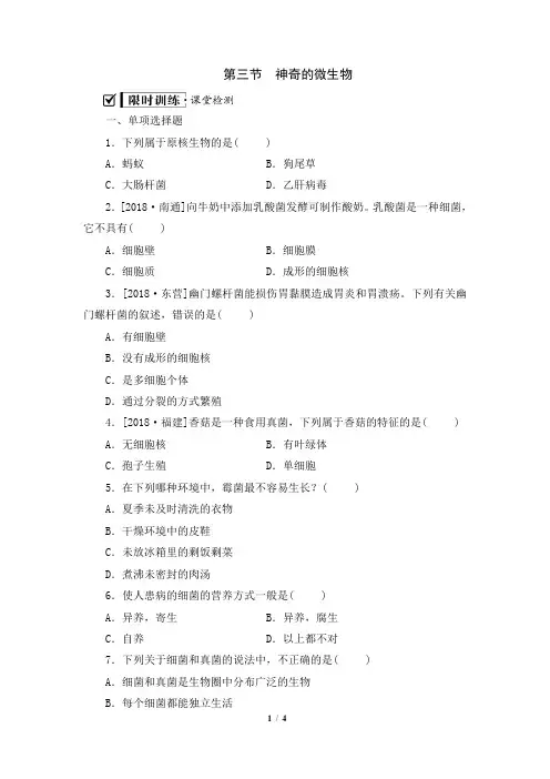 苏教版生物八年级上册_《神奇的微生物》复习检测