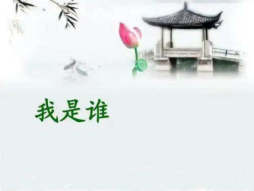 我是谁