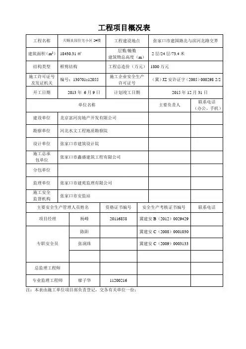 工程项目概况表