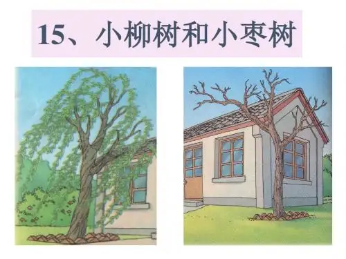 部编版小学二年级语文上册5《小柳树和小枣树