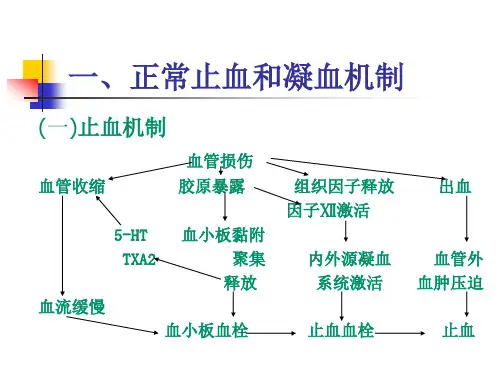 出血性疾病的诊断思路