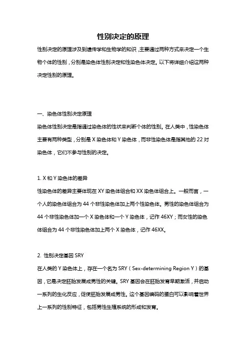 性别决定的原理