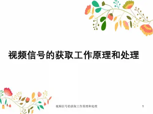 视频信号获取工作原理与处理