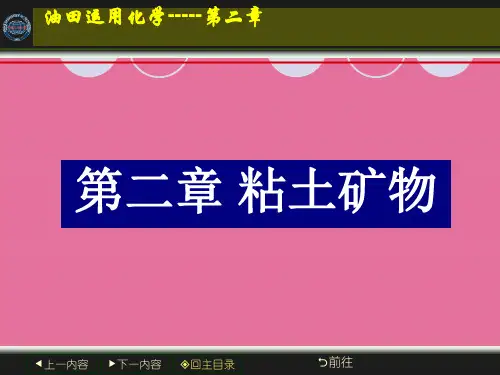 第二章 粘土矿物-ppt课件