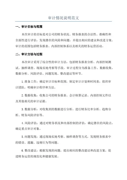 审计情况说明范文